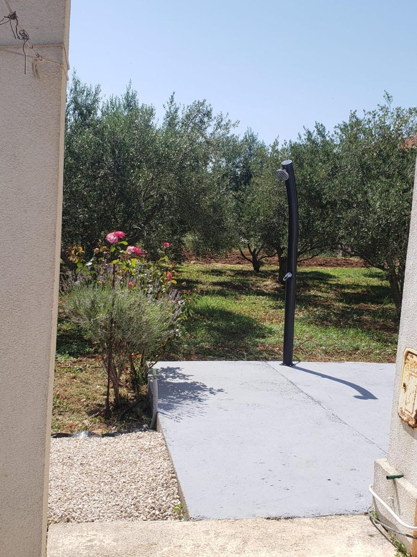 Apartmani Ciklic Dobropoljana Exterior photo